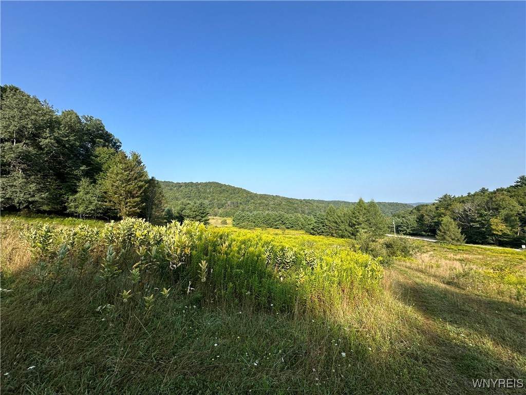 1235 Kansas Hollow Road - Photo 1