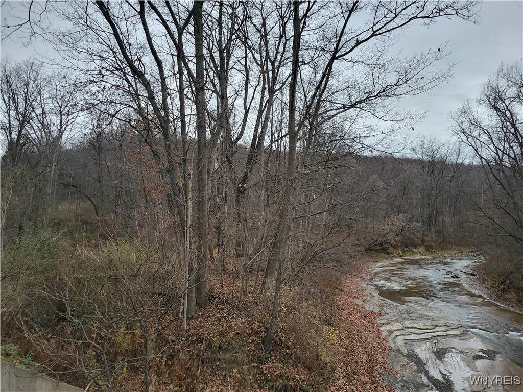 9387 Skinner Hollow Road - Photo 1