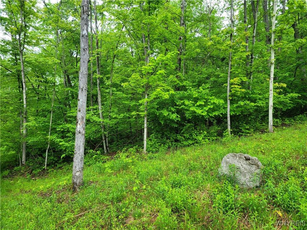 0 Co Road 24- Lot 1 - Photo 1