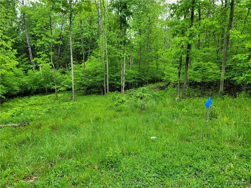 0 Co Road 24- Lot 14 - Photo 1