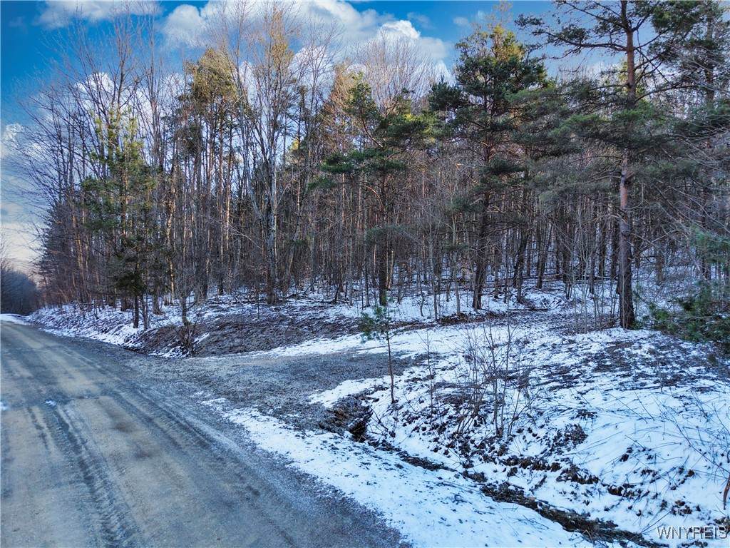 10 & 11 Creek Ridge Road - Photo 1