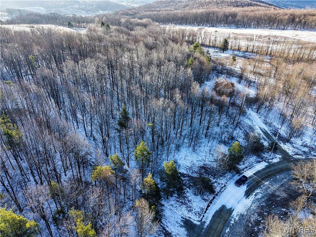 26 & 27 Creek Ridge Road - Photo 1