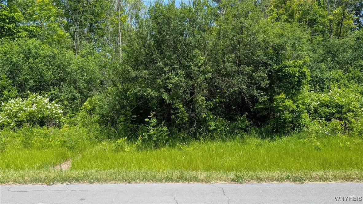 981 Swann Road - Photo 1