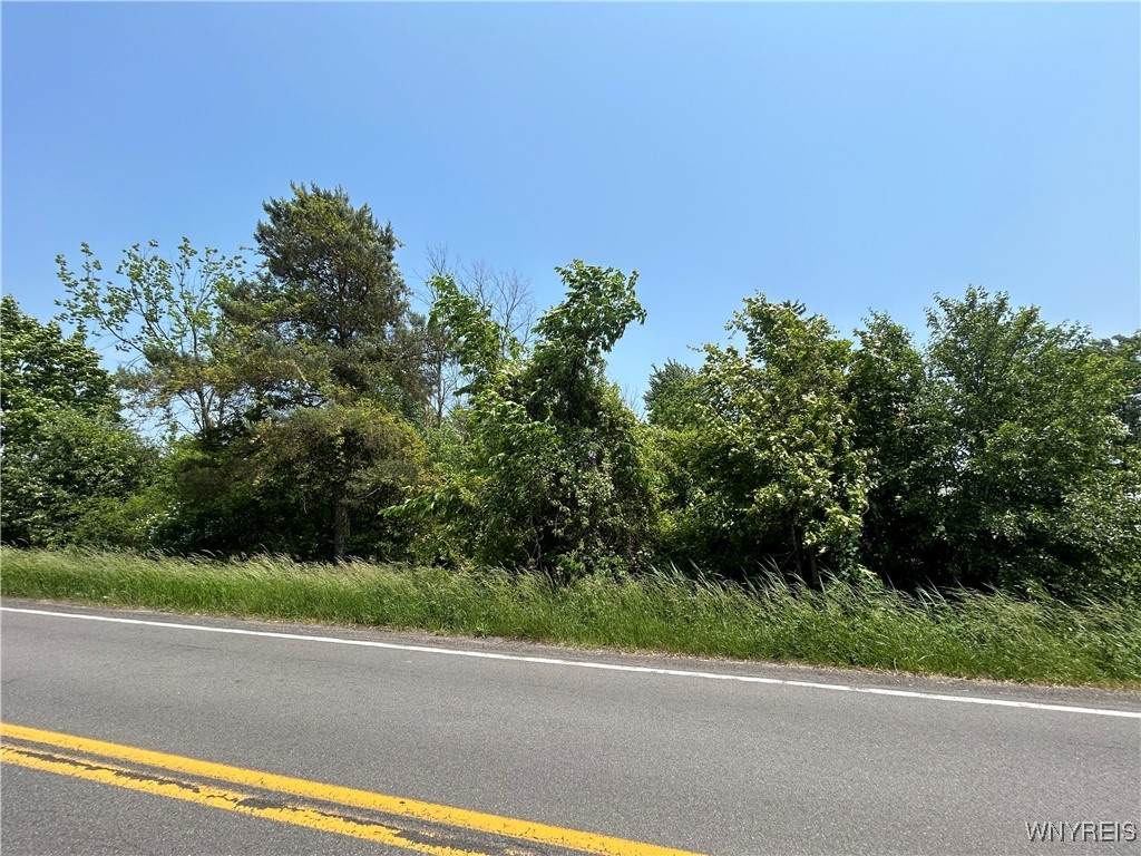 VL Porter Center Road - Photo 1