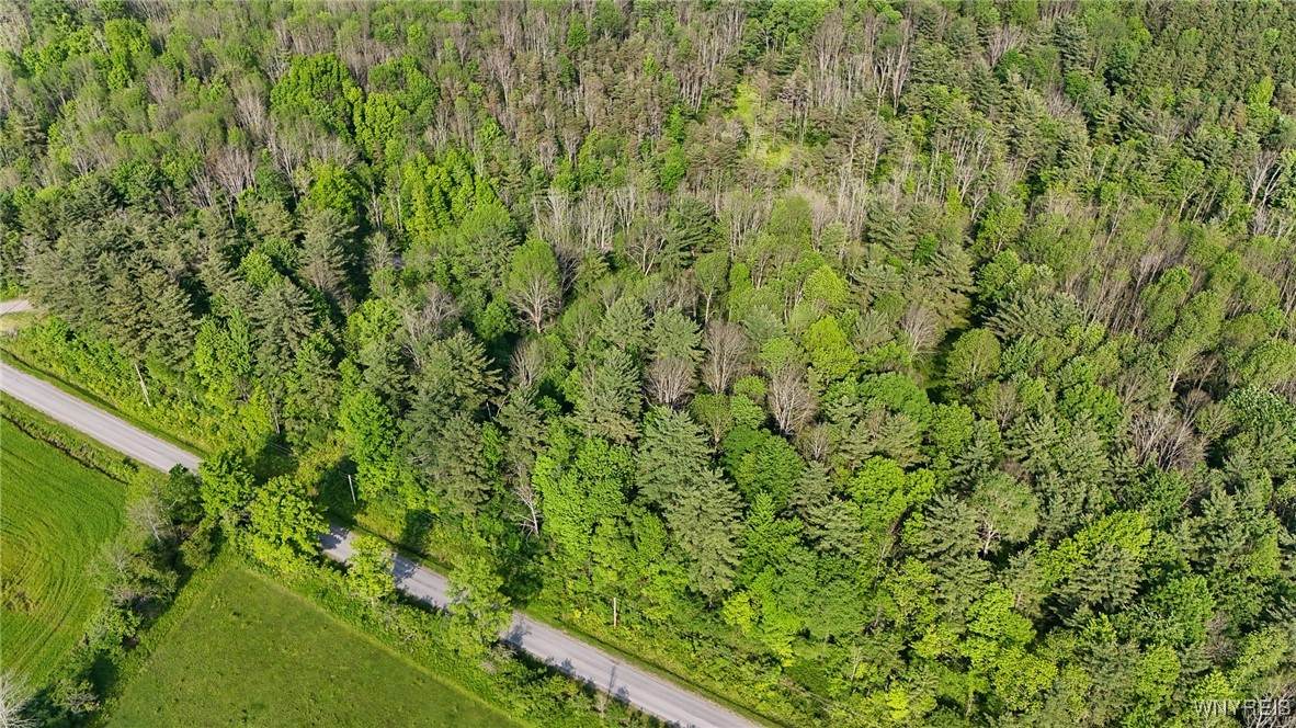 00 Lamont Road - Photo 1