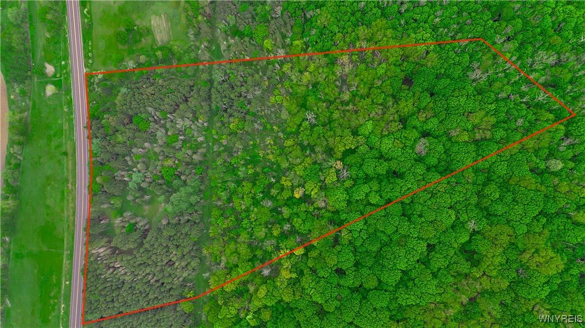 VL Maples Road - Photo 1