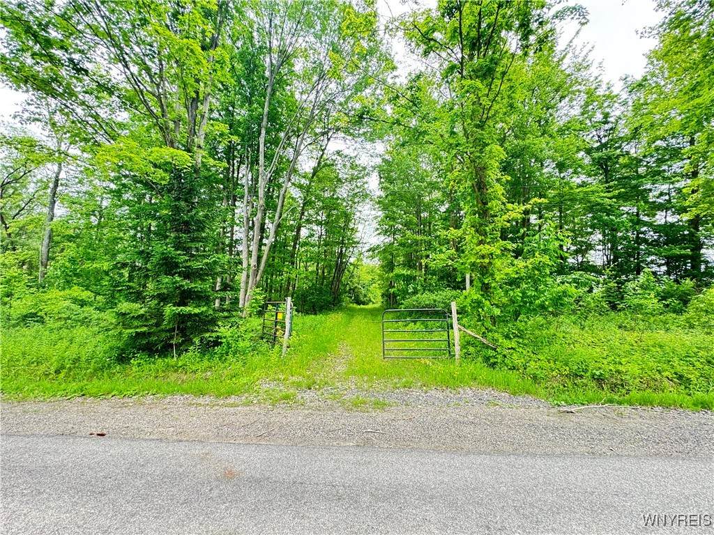 4371 Lawson Road - Photo 1