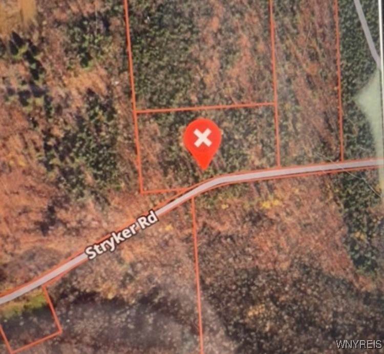 0 Stryker Road - Photo 1