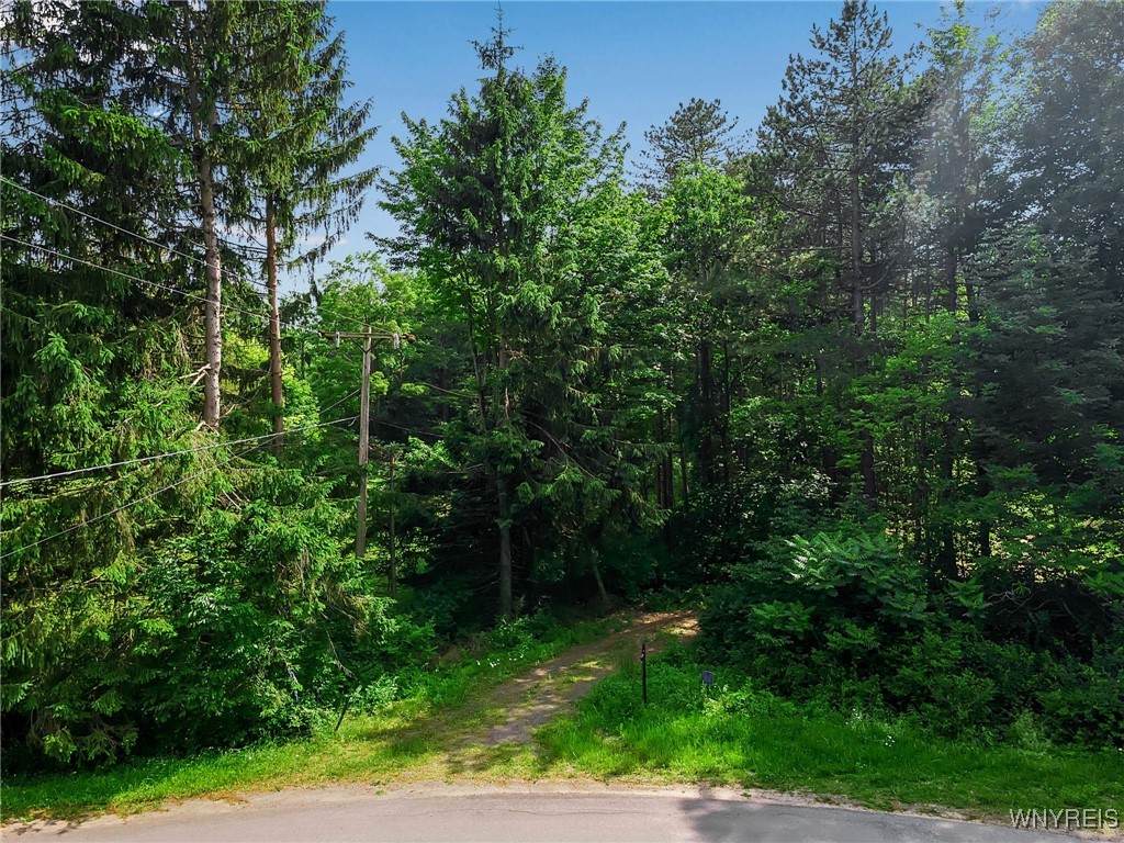 11665 Carpenter Road - Photo 1