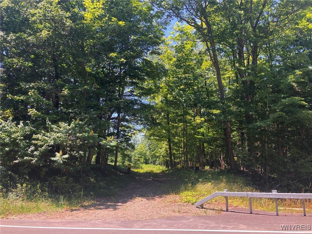 8172 Sisson Highway - Photo 1