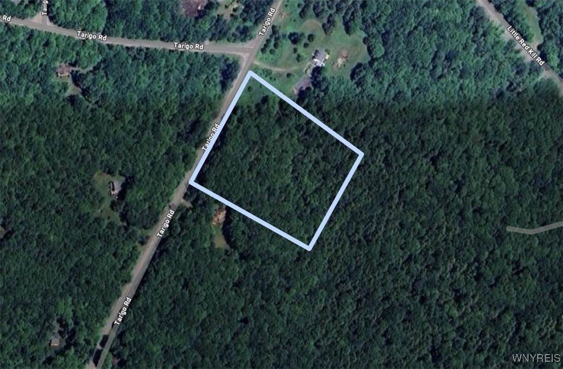 Lot 29 Tarigo Road - Photo 1