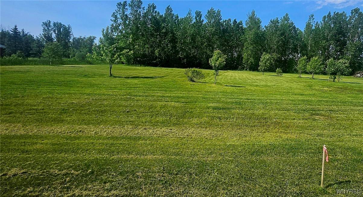 VL (A) Mapleton Road - Photo 1