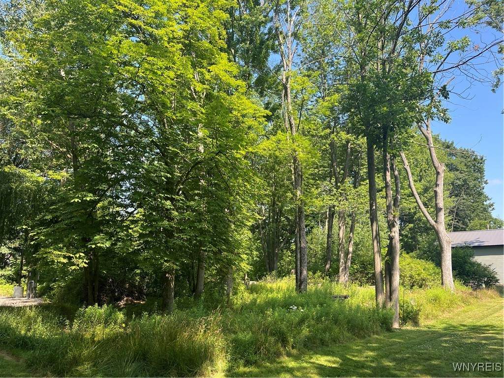 36 Irvington Drive - Photo 1