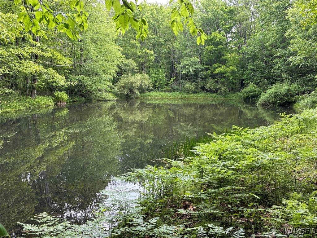 2741 Smith Hollow Road - Photo 1