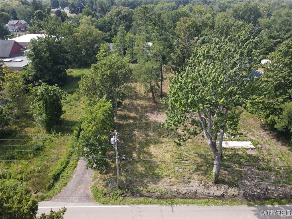 1993 Creek Road - Photo 1