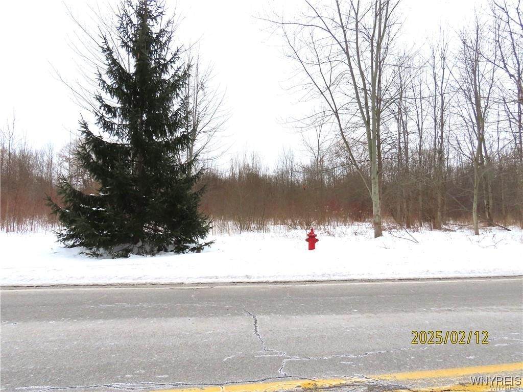  Tonawanda Creek Road - Photo 1