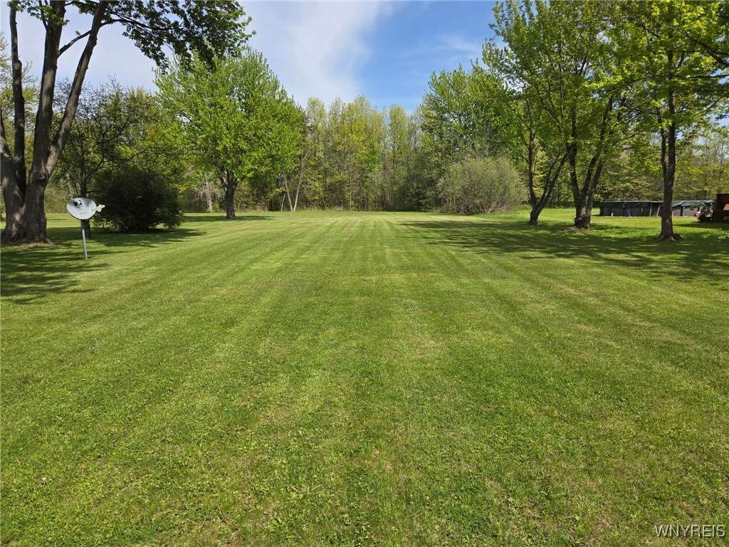 V/L Creek Road - Photo 1