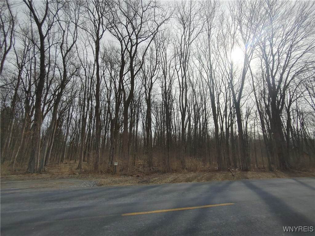  Murdock Road - Photo 1