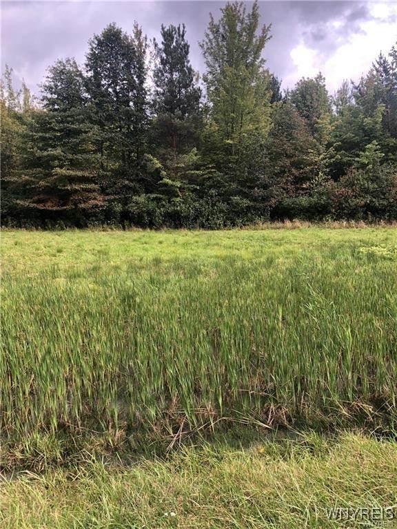 V/L Southwestern Boulevard - Photo 1