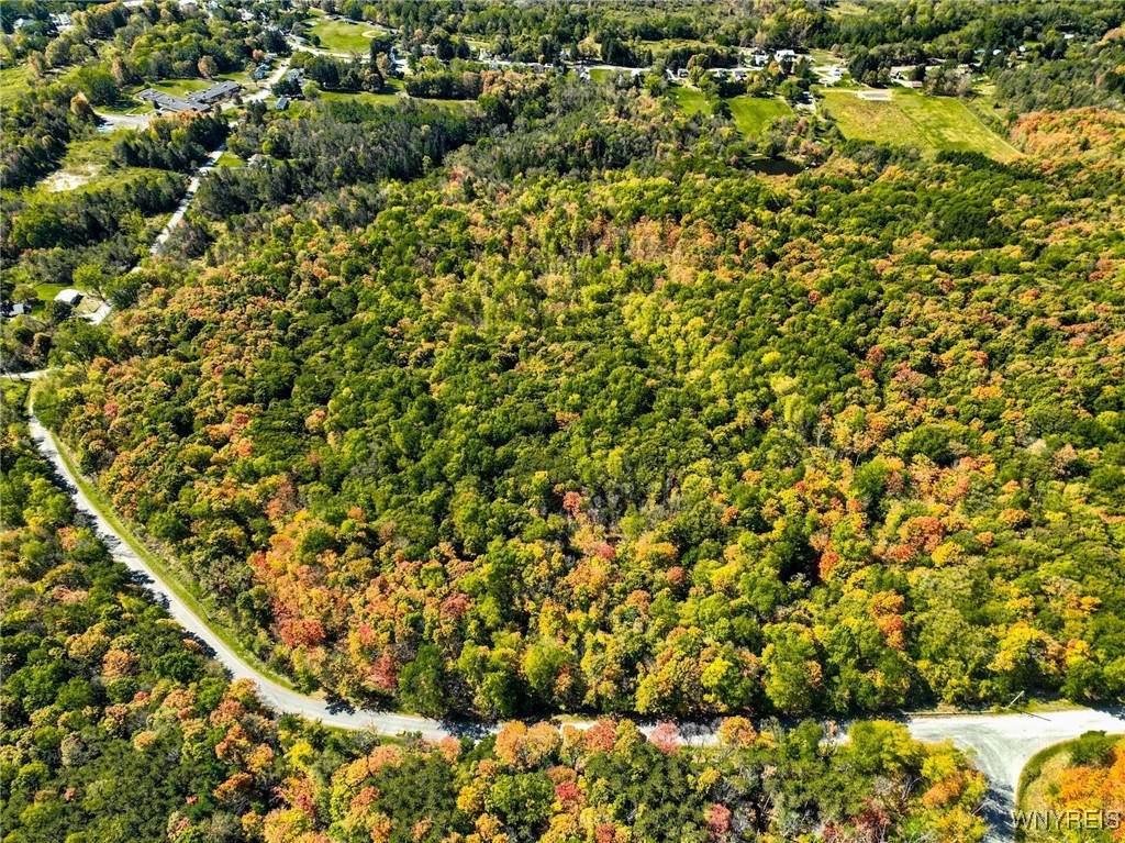  Old Buffalo Road - Photo 1