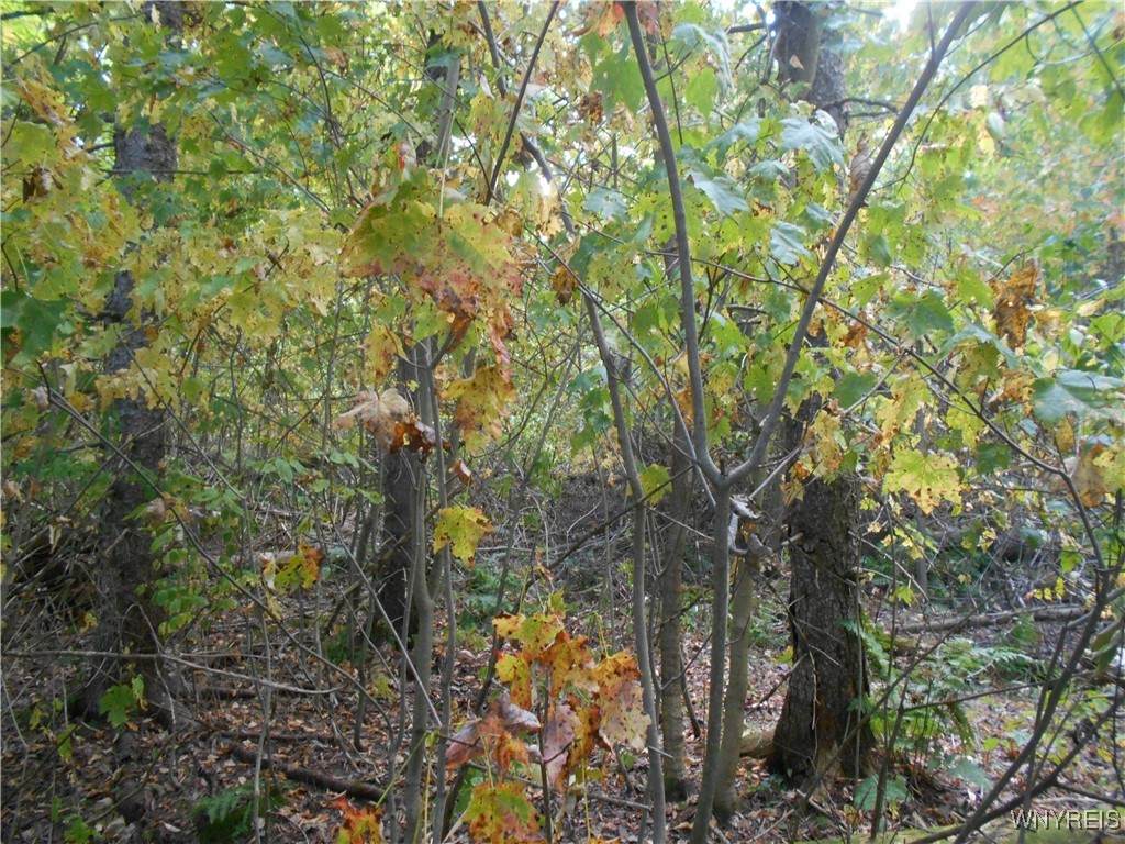 https://bt-photos.global.ssl.fastly.net/rochester/orig_boomver_1_B1646644-2.jpg
