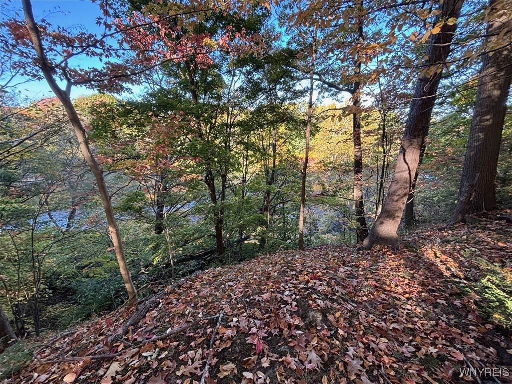 https://bt-photos.global.ssl.fastly.net/rochester/orig_boomver_1_B1650759-2.jpg