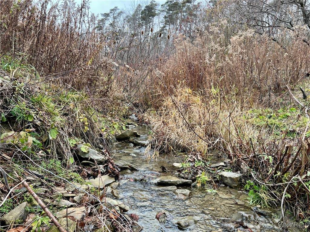  Feathers Creek Road - Photo 1
