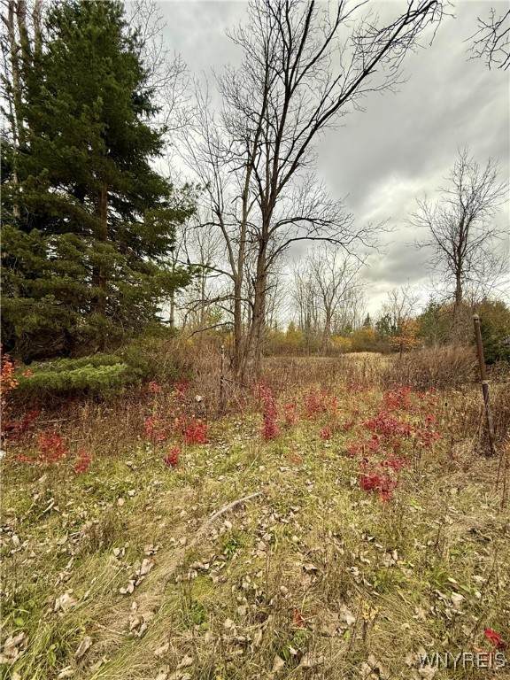 4300 French Road - Photo 1