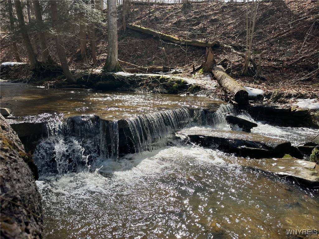 1292 Halls Corner Road - Photo 1