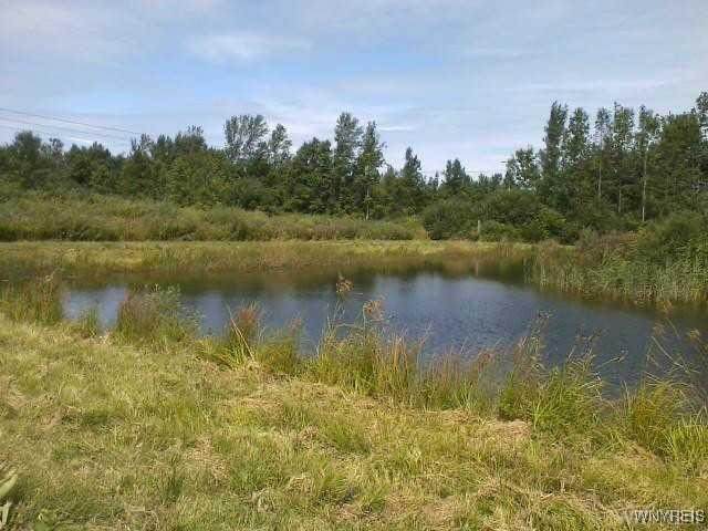 6480 Ditch Road - Photo 1