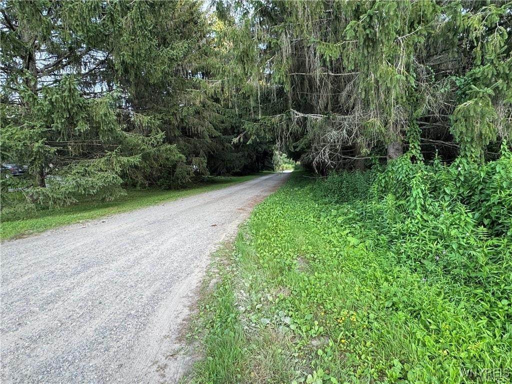 https://bt-photos.global.ssl.fastly.net/rochester/orig_boomver_1_B1656746-2.jpg