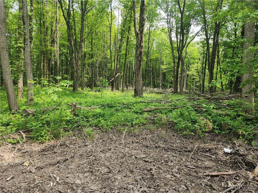  Lake Shore Road - Photo 1