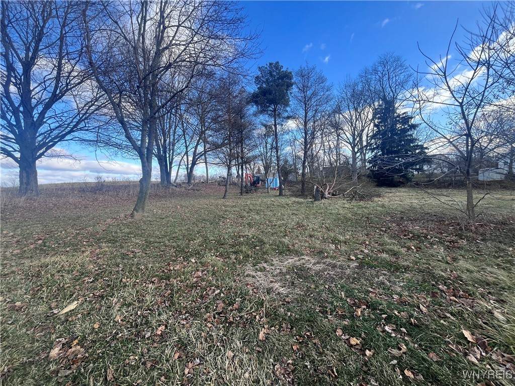 9695 Roanoke Road - Photo 1