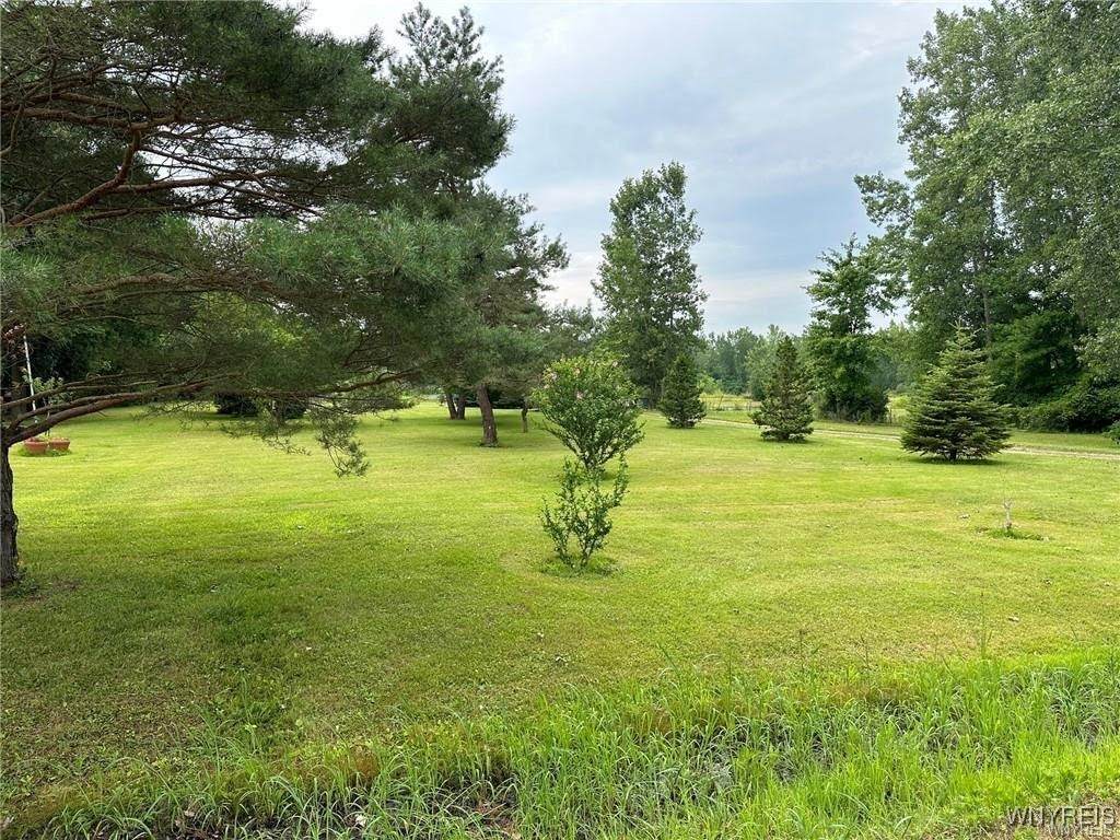5674 Chestnut Road - Photo 1