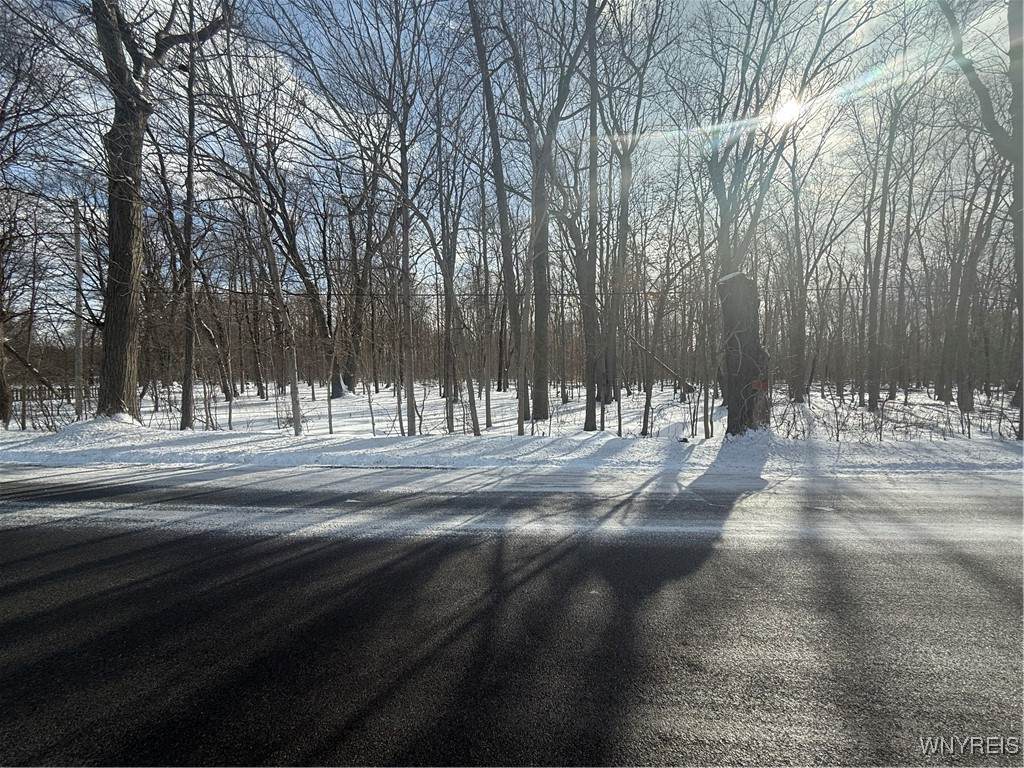 V/L Stage Road - Photo 1