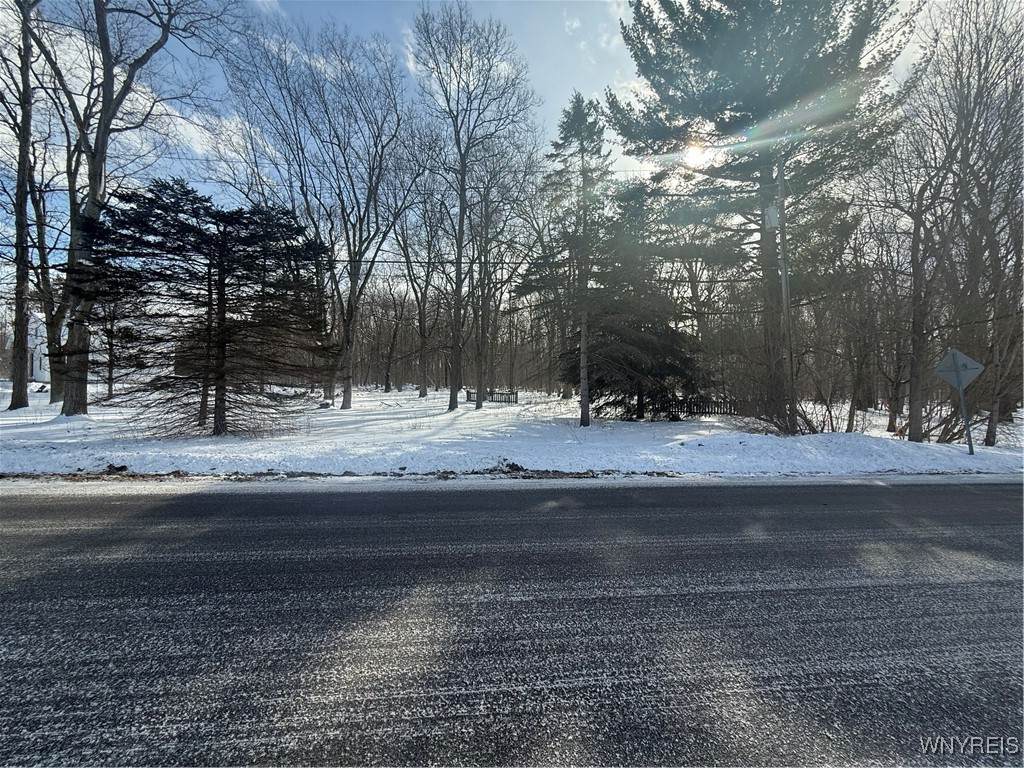 V/L Stage Road - Photo 1