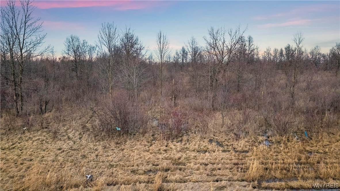 V/L Townline Road - Photo 1