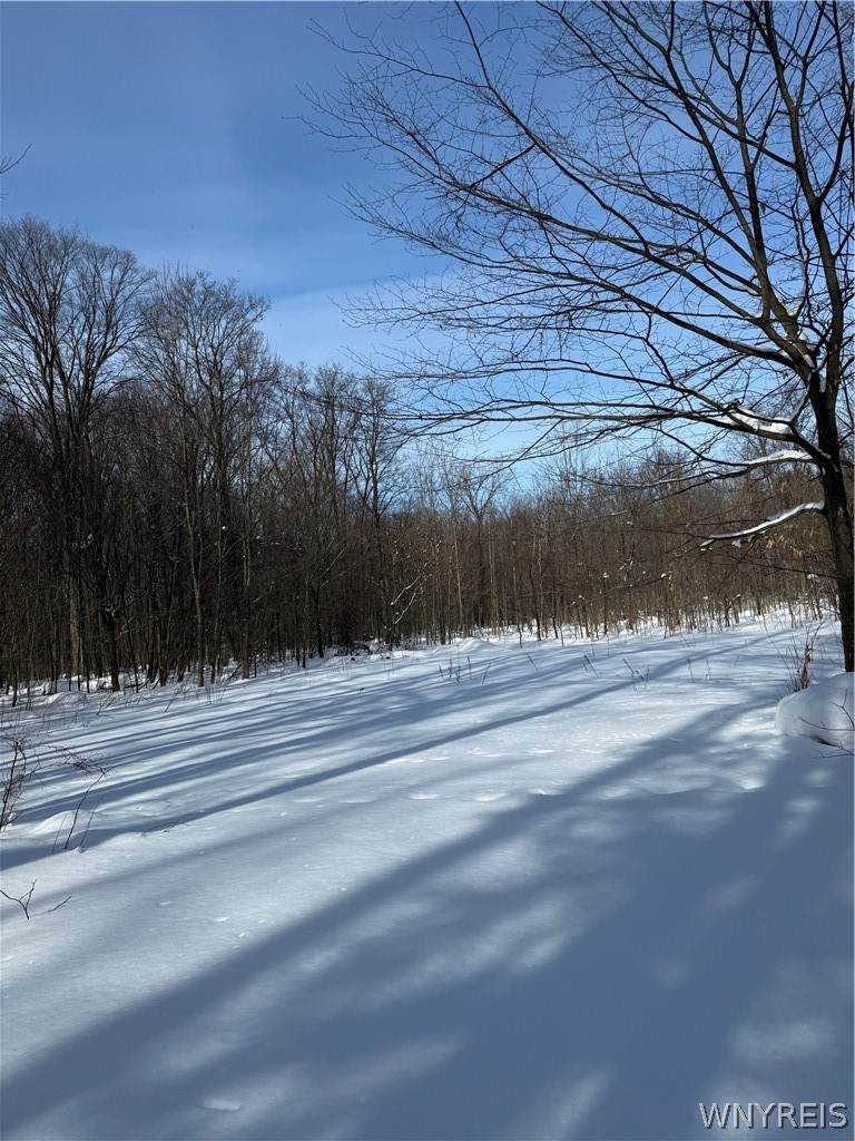  V/L Syler Road - Photo 1