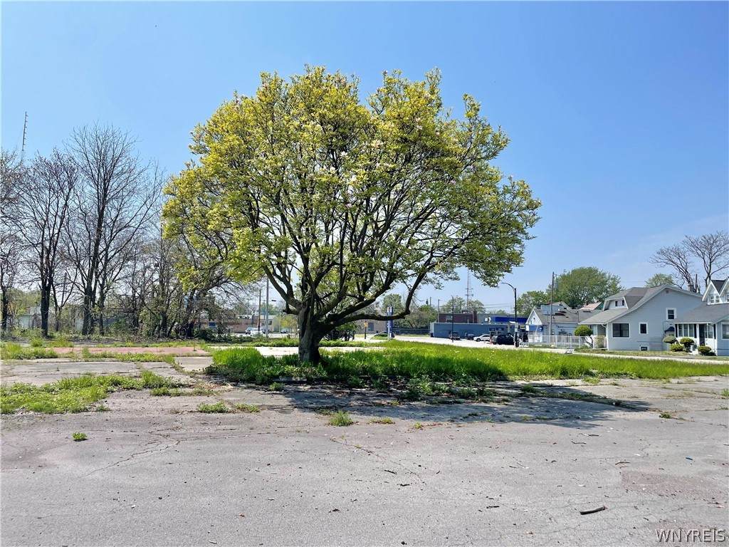 355 Kensington Avenue - Photo 1