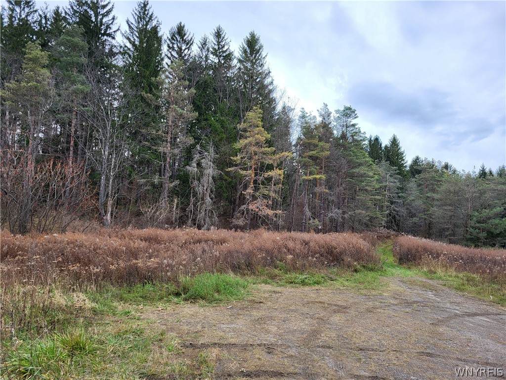  Us Route 219 - Photo 1