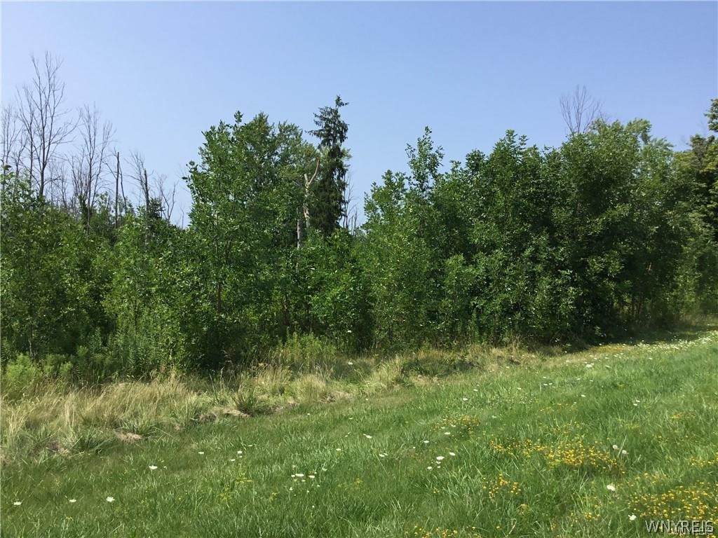 8996 Erie Road - Photo 1