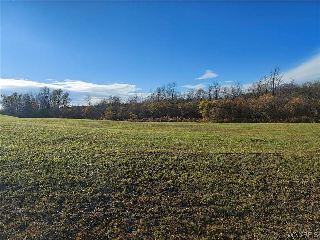 0 Donahue Road - Photo 1