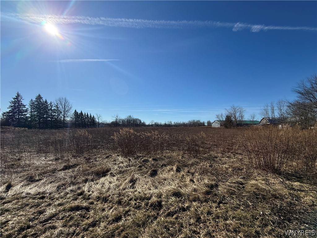 13151 Main Road - Photo 1