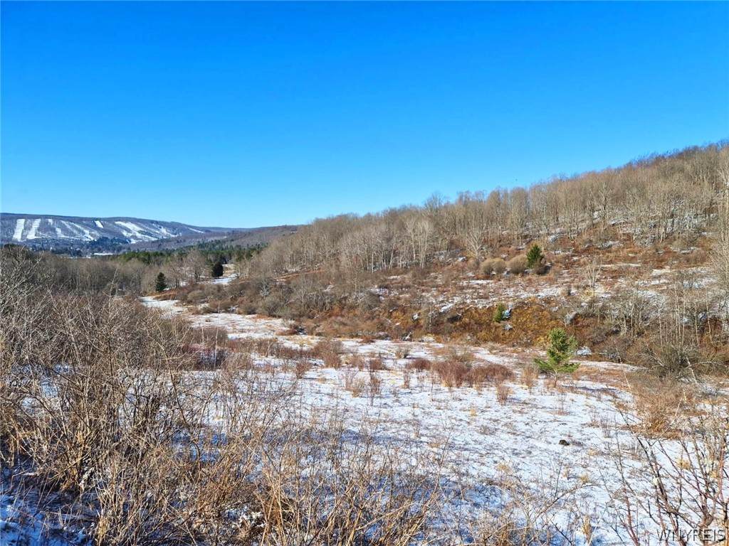 6801 Horn Hill Road - Photo 1