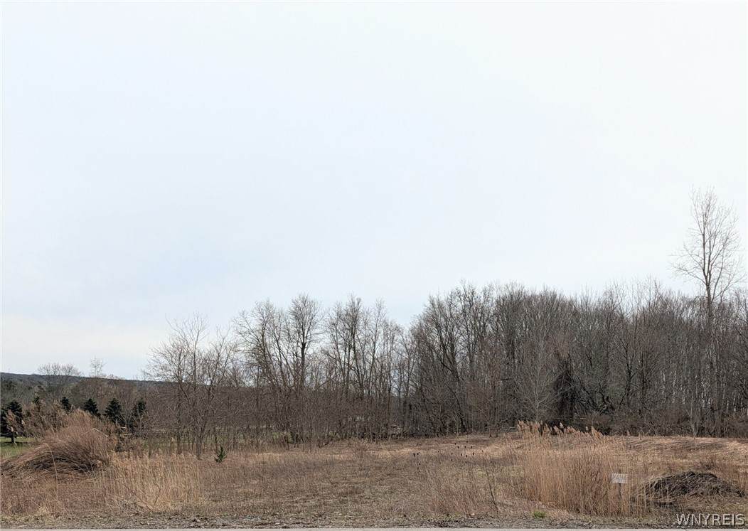 1646 Jamison Road - Photo 1