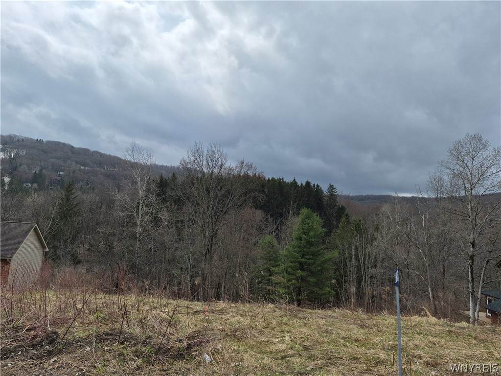 6843 Springs Road - Photo 1