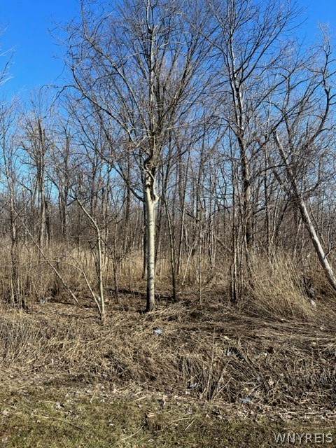 0 Wilson Avenue - Photo 1