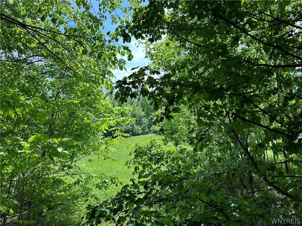 https://bt-photos.global.ssl.fastly.net/rochester/orig_boomver_1_B1673799-2.jpg