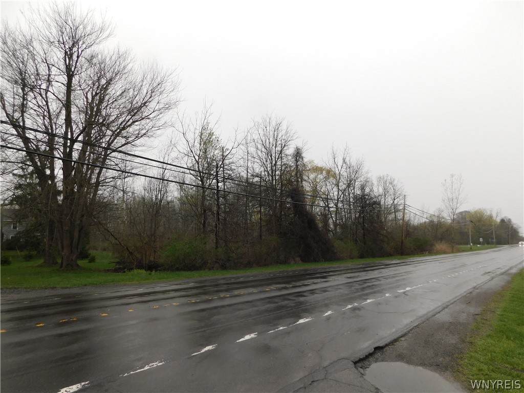 12739 Main Road - Photo 1