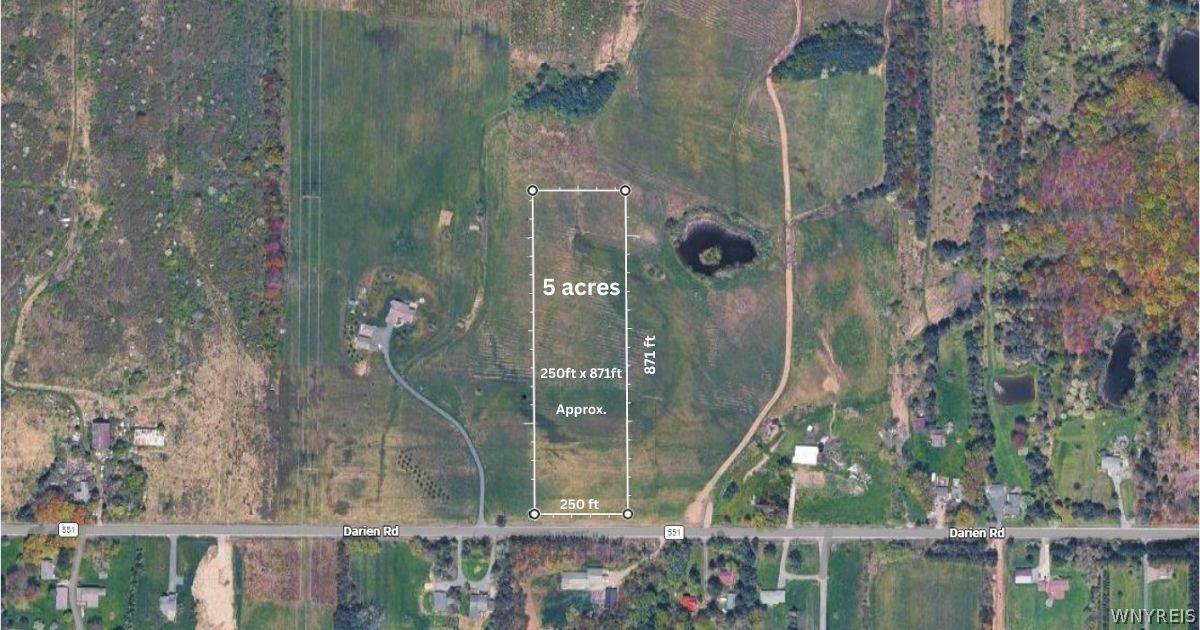 5 Acre Lot Darien Road - Photo 1